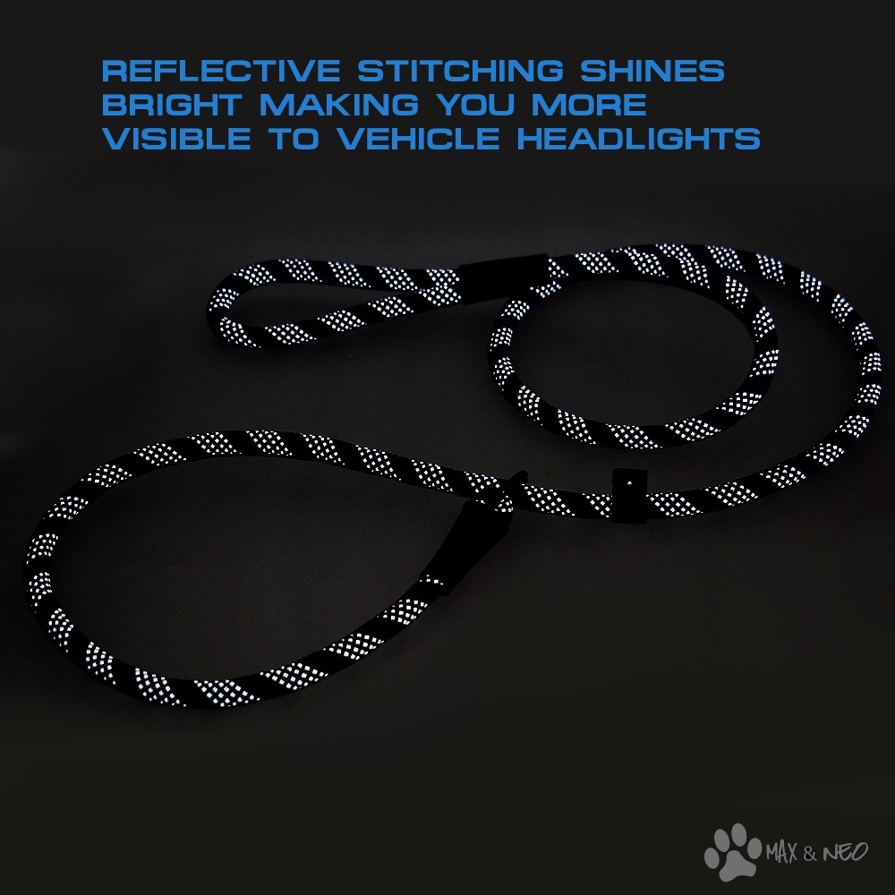 Dog Leash: 5-foot Reflective Nylon Rope Slip Lead, Black